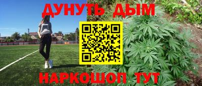 молекула духа Будённовск