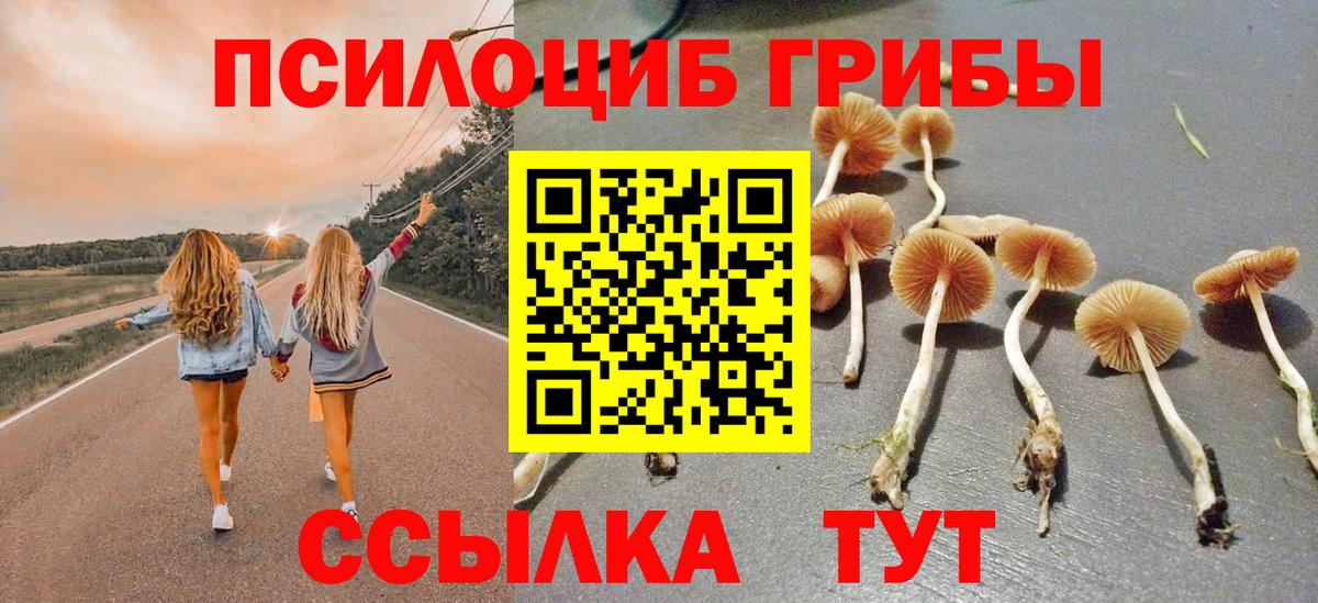 Галлюциногенные грибы Magic Shrooms Лениногорск